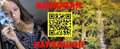 спиды Краснознаменск