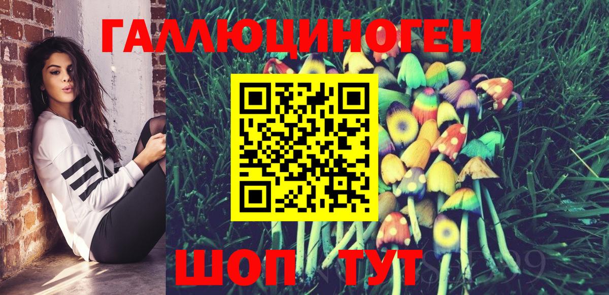 Псилоцибиновые грибы Cubensis Кингисепп