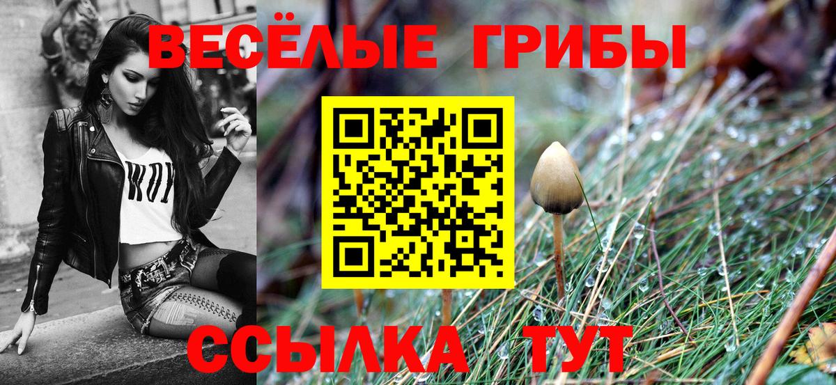 Галлюциногенные грибы ЛСД  Вход с VPN  Кингисепп 